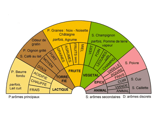 Arôme du comté de Plasne