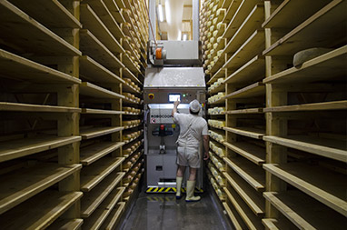 Robot fromagerie les Délices