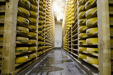 Cave d'affinage à Comté