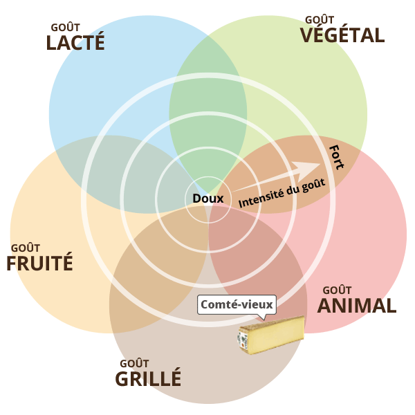 Comté fruité vieux - Au Comté Bon